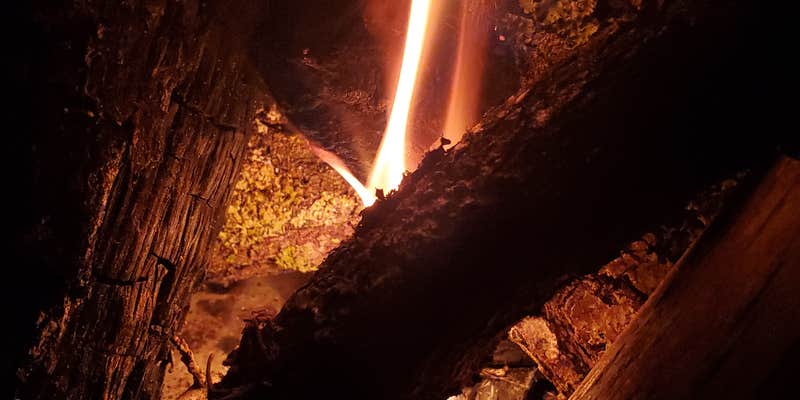 Camper submitted image from Ellie Ray's RV Resort & Lounge