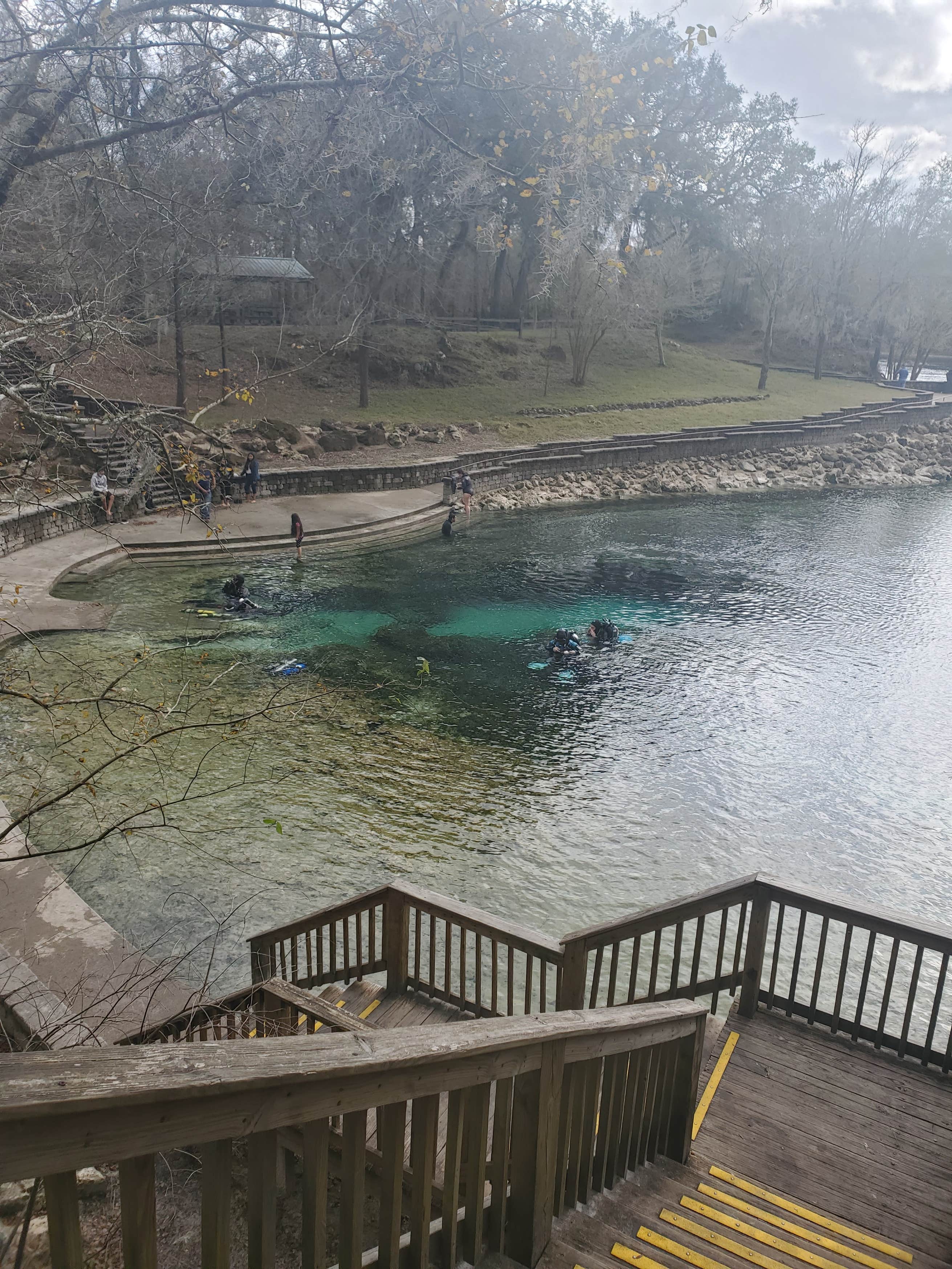 Ellie Ray's River RV Resort The Dyrt