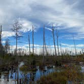 Review photo of Stephen C. Foster State Park Campground by carolyn , January 21, 2021