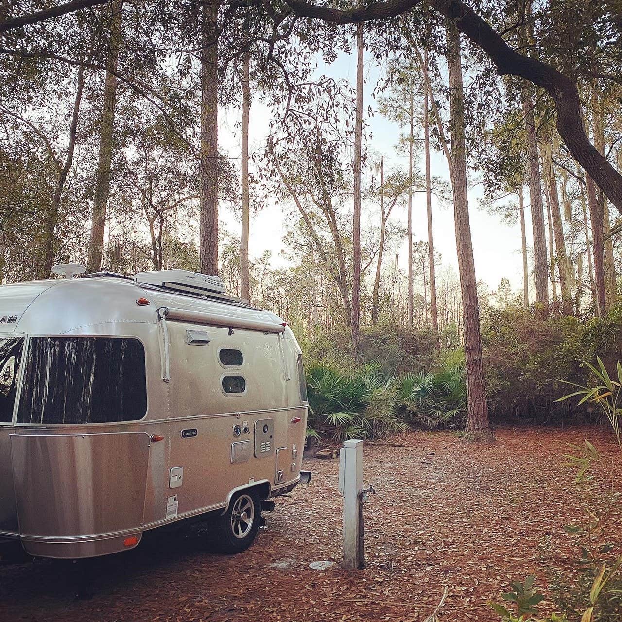 Camper-submitted photo at Stephen C. Foster State Park Campground near Folkston, GA