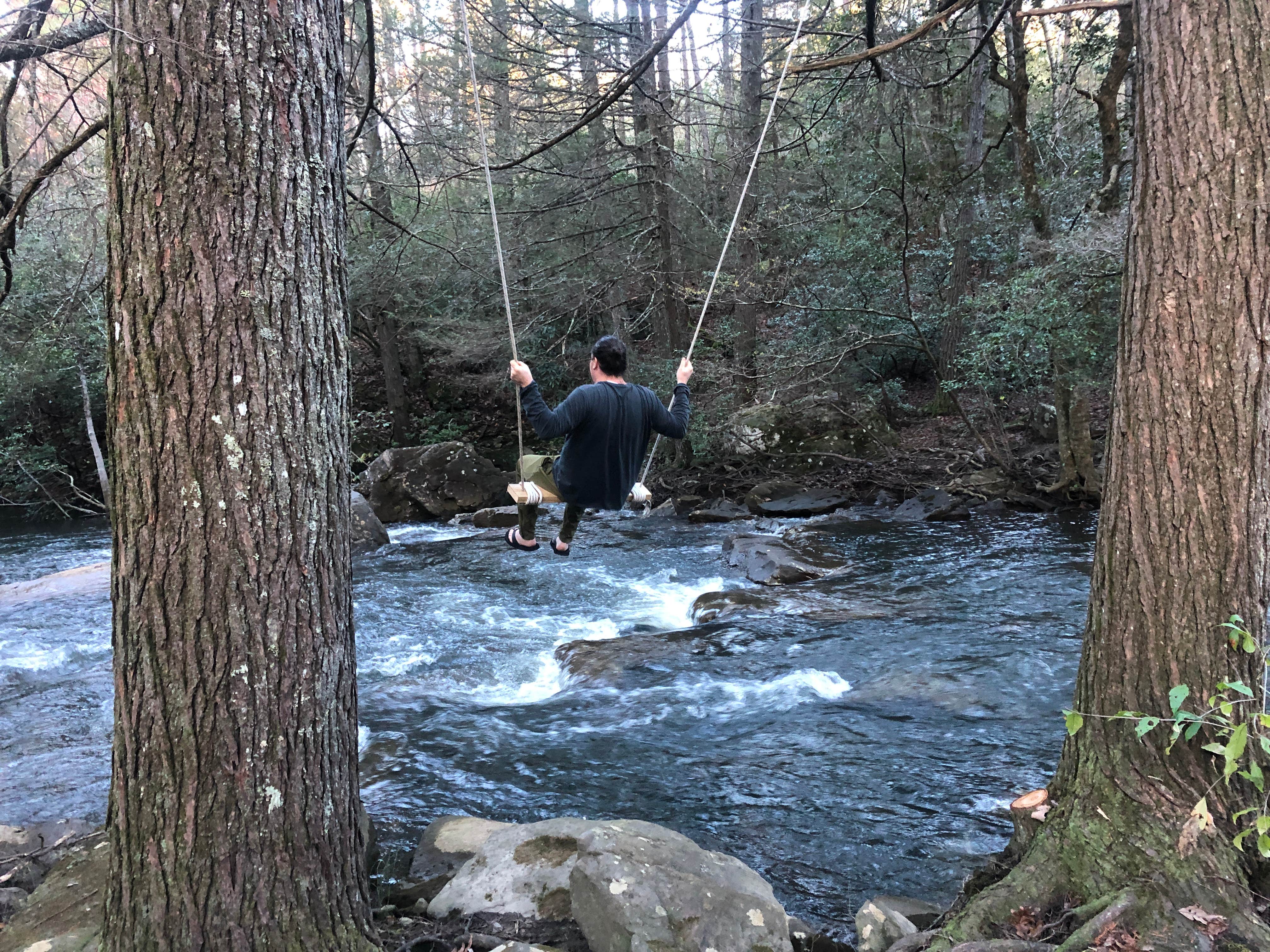 Camper-submitted photo at Hammock Sway near Gruetli-Laager, TN