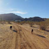 Review photo of Eagle Eye Rd BLM by Laura M., January 21, 2021