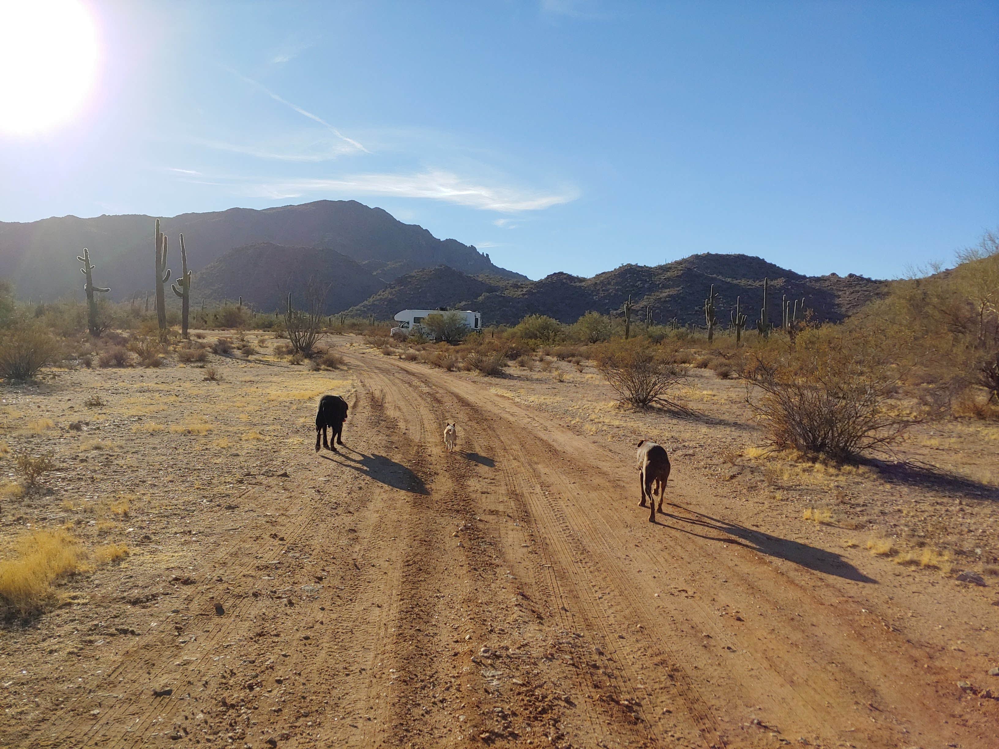 Camper submitted image from Eagle Eye Rd BLM - 2