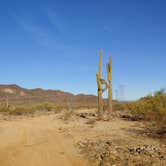 Review photo of Eagle Eye Rd BLM by Laura M., January 21, 2021