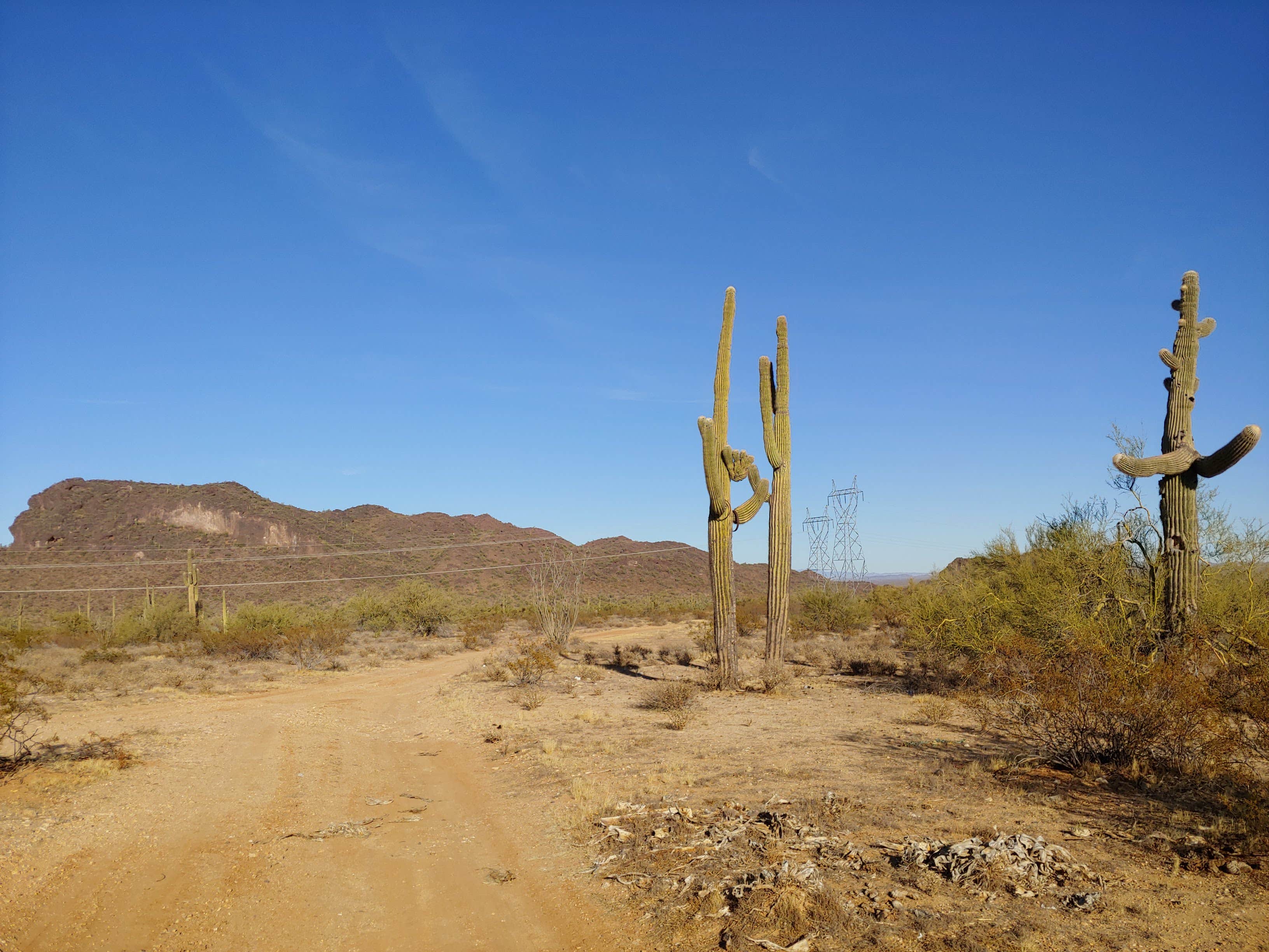 Camper submitted image from Eagle Eye Rd BLM - 4