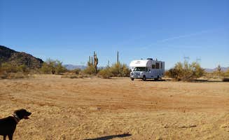 Laura M.'s photo of camping with pets at Eagle Eye Rd BLM in Arizona