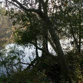 Review photo of Suwannee River Rendezvous Resort and Campground by Rusty R., January 22, 2021