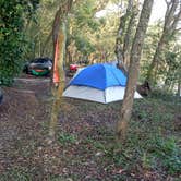 Review photo of Suwannee River Rendezvous Resort and Campground by Rusty R., January 22, 2021