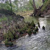 Review photo of Suwannee River Rendezvous Resort and Campground by Rusty R., January 22, 2021