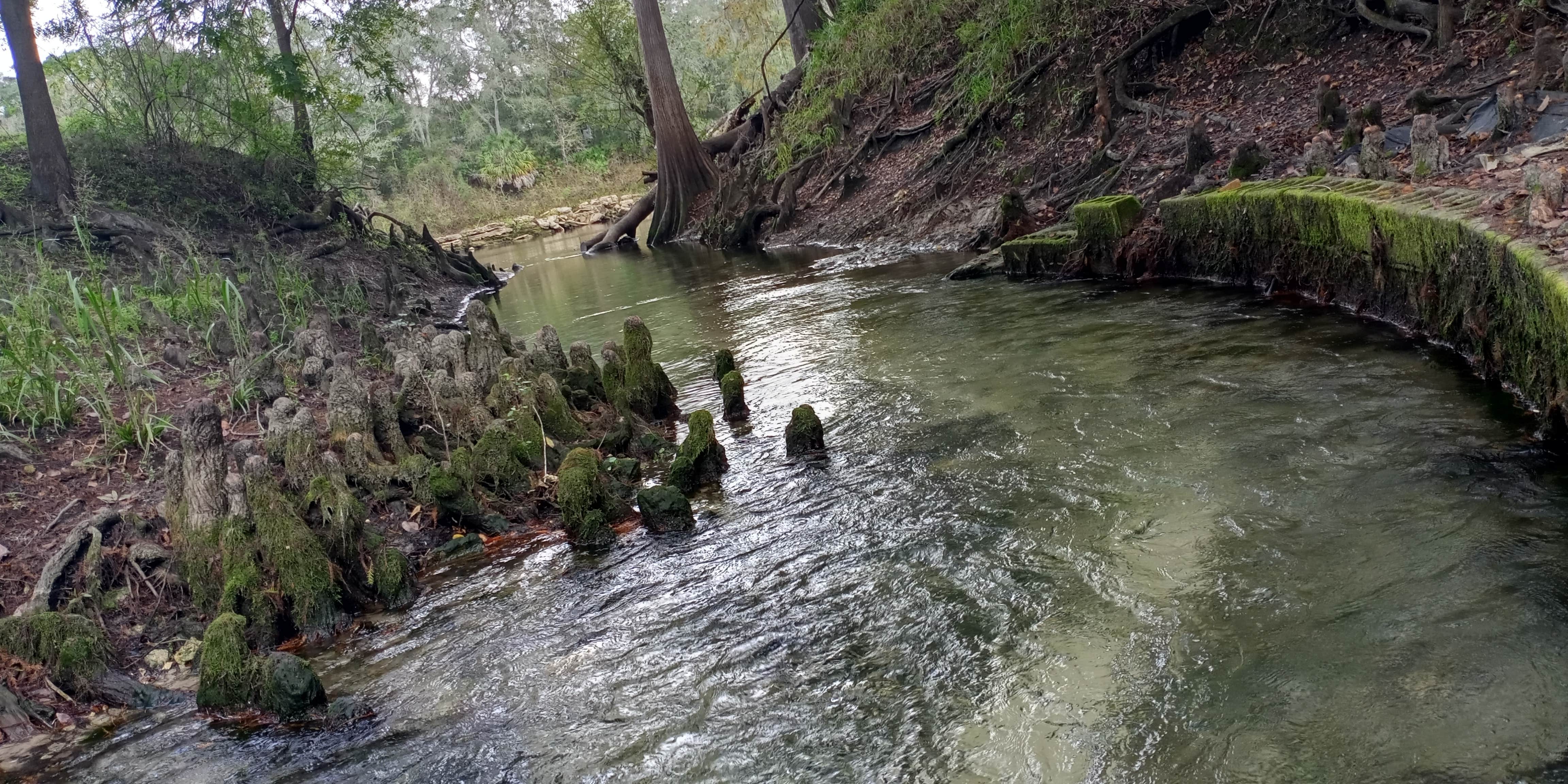 Camper submitted image from Suwannee River Rendezvous Resort and Campground - 1