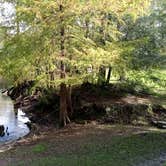 Review photo of Suwannee River Rendezvous Resort and Campground by Rusty R., January 22, 2021