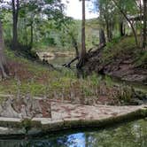 Review photo of Suwannee River Rendezvous Resort and Campground by Rusty R., January 22, 2021