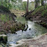 Review photo of Suwannee River Rendezvous Resort and Campground by Rusty R., January 22, 2021