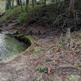 Review photo of Suwannee River Rendezvous Resort and Campground by Rusty R., January 22, 2021