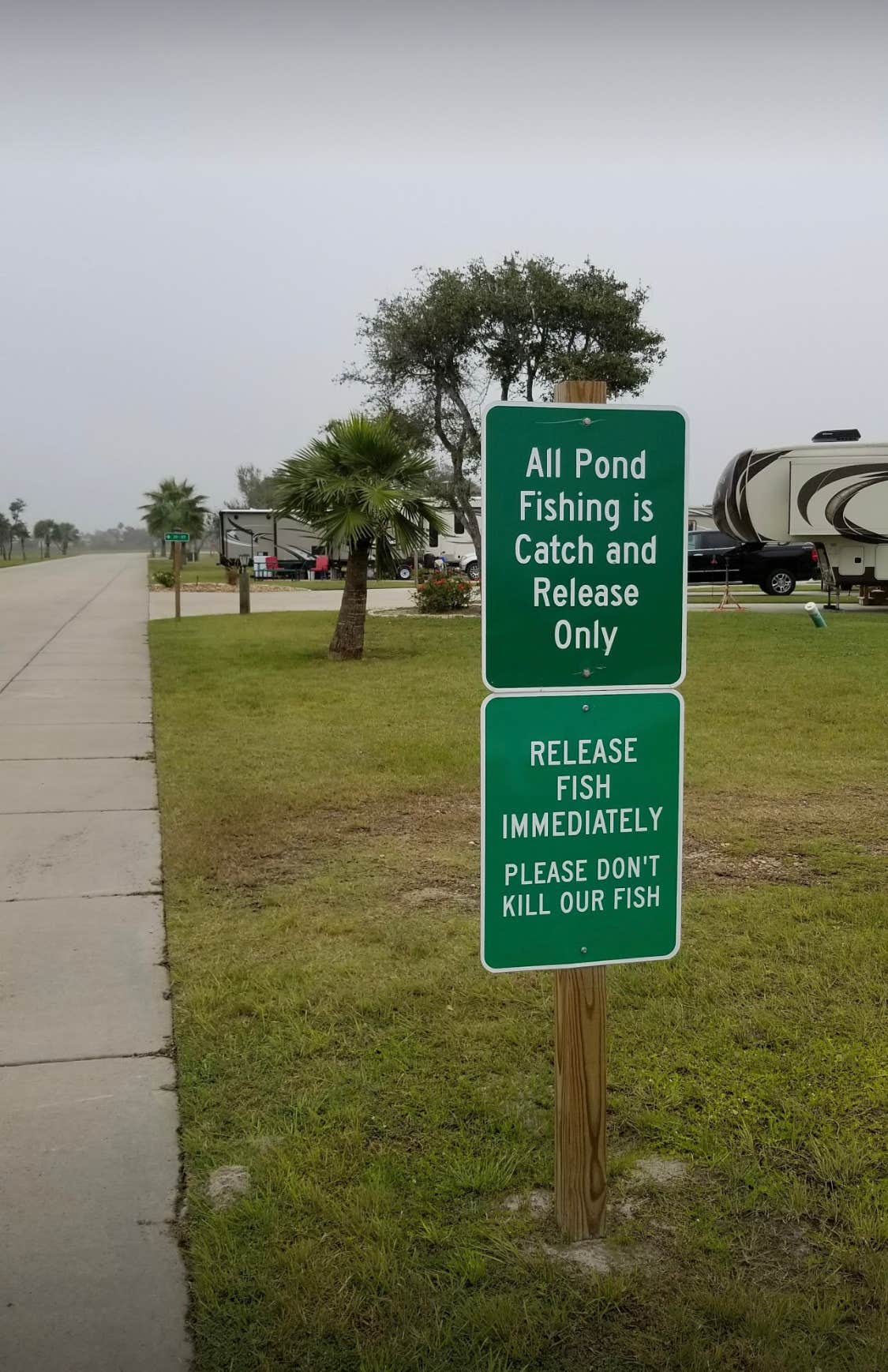 Camper submitted image from Southern Oaks Luxury RV Park - 1