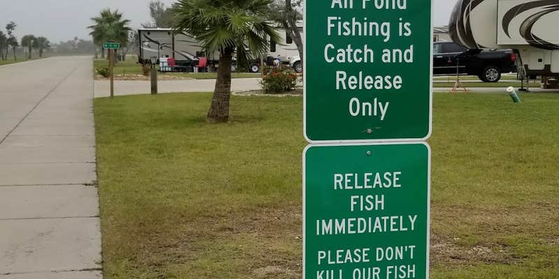 Camper submitted image from Southern Oaks Luxury RV Park