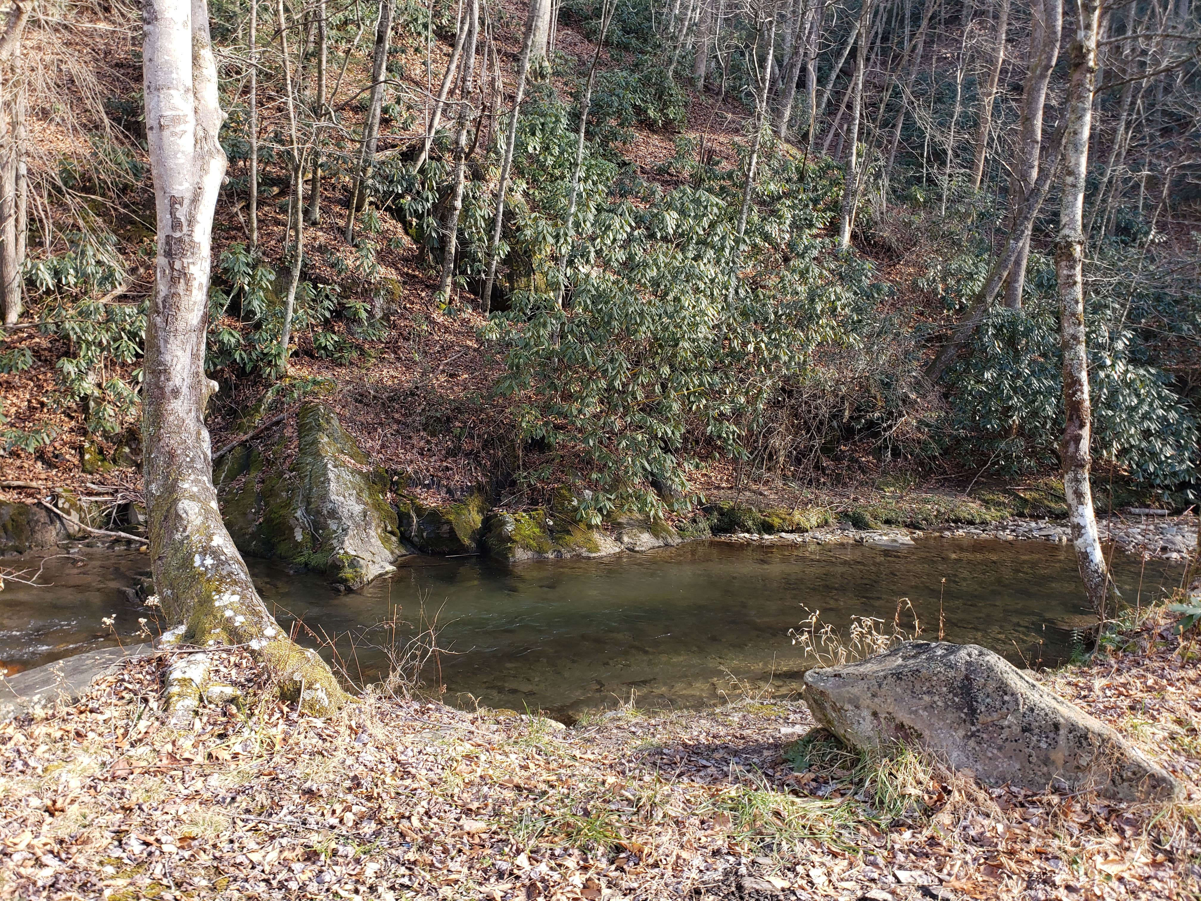 View All