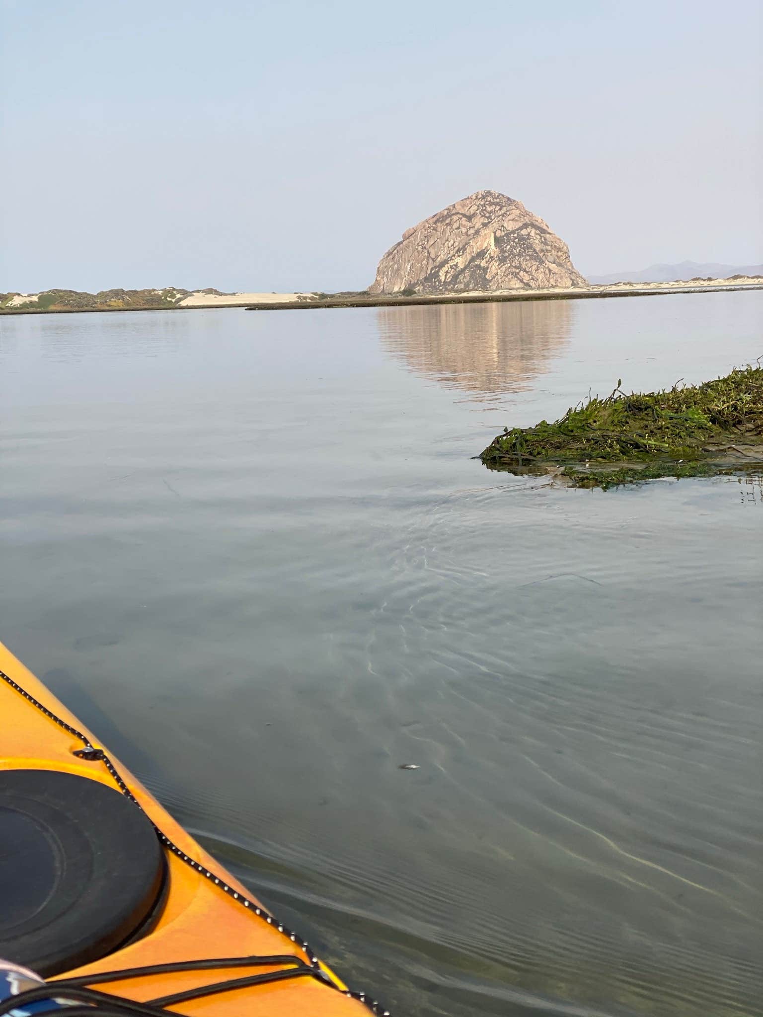 Morro Bay State Park Campground