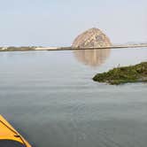 Review photo of Morro Bay State Park Campground by Morgan D., January 22, 2021