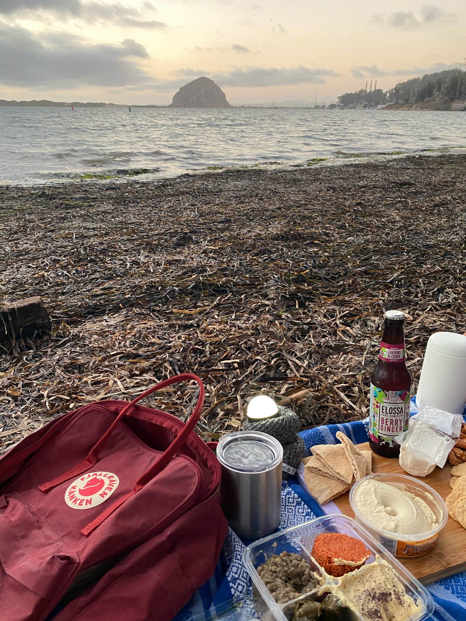 Morro Bay State Park Campground