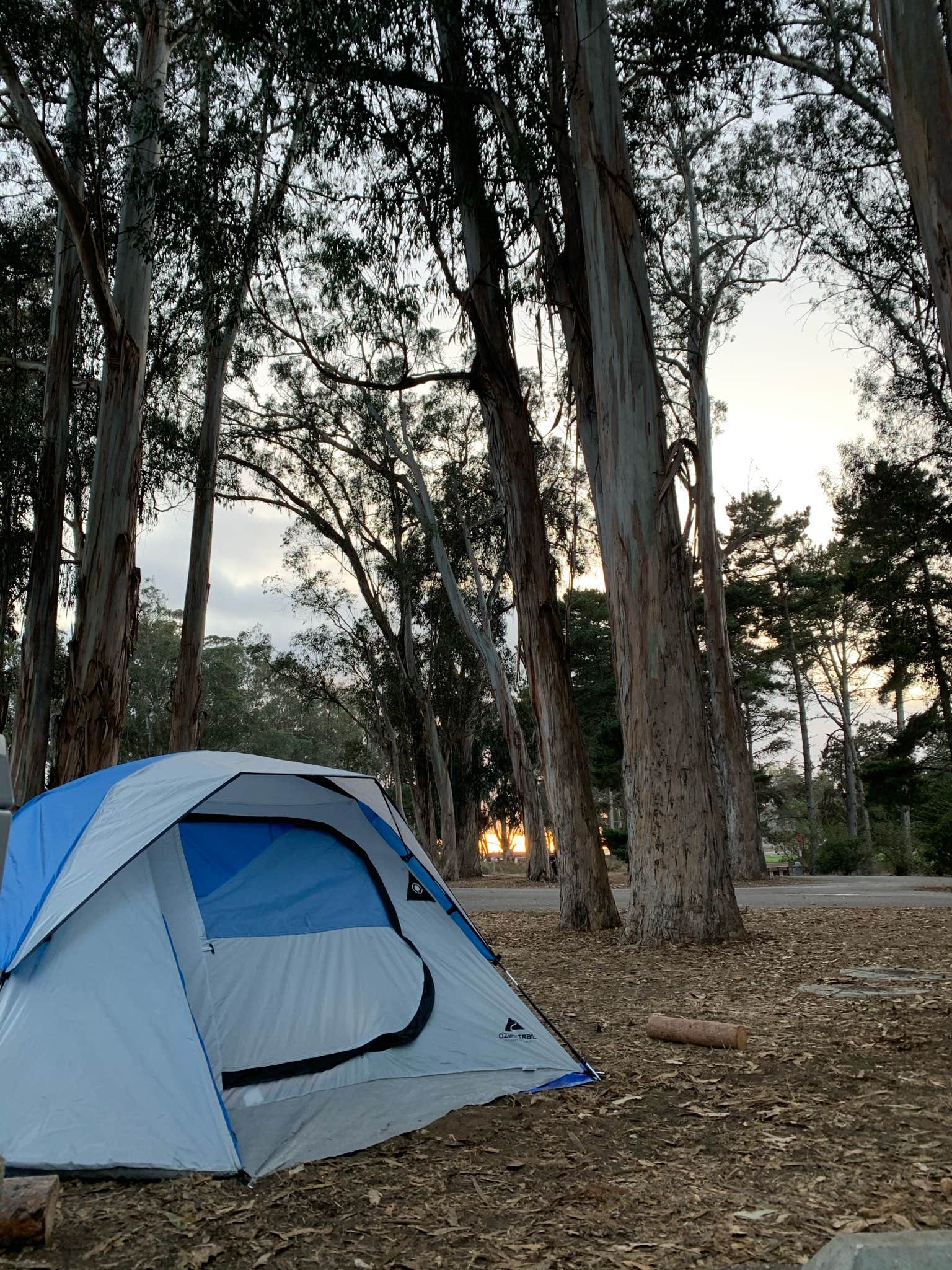 Morgan D.'s photo at Morro Bay State Park Campground near San Luis Obispo, CA