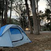 Review photo of Morro Bay State Park Campground by Morgan D., January 22, 2021