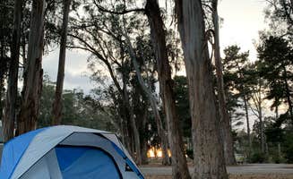 Morgan D.'s photo at Morro Bay State Park Campground near Atascadero, CA