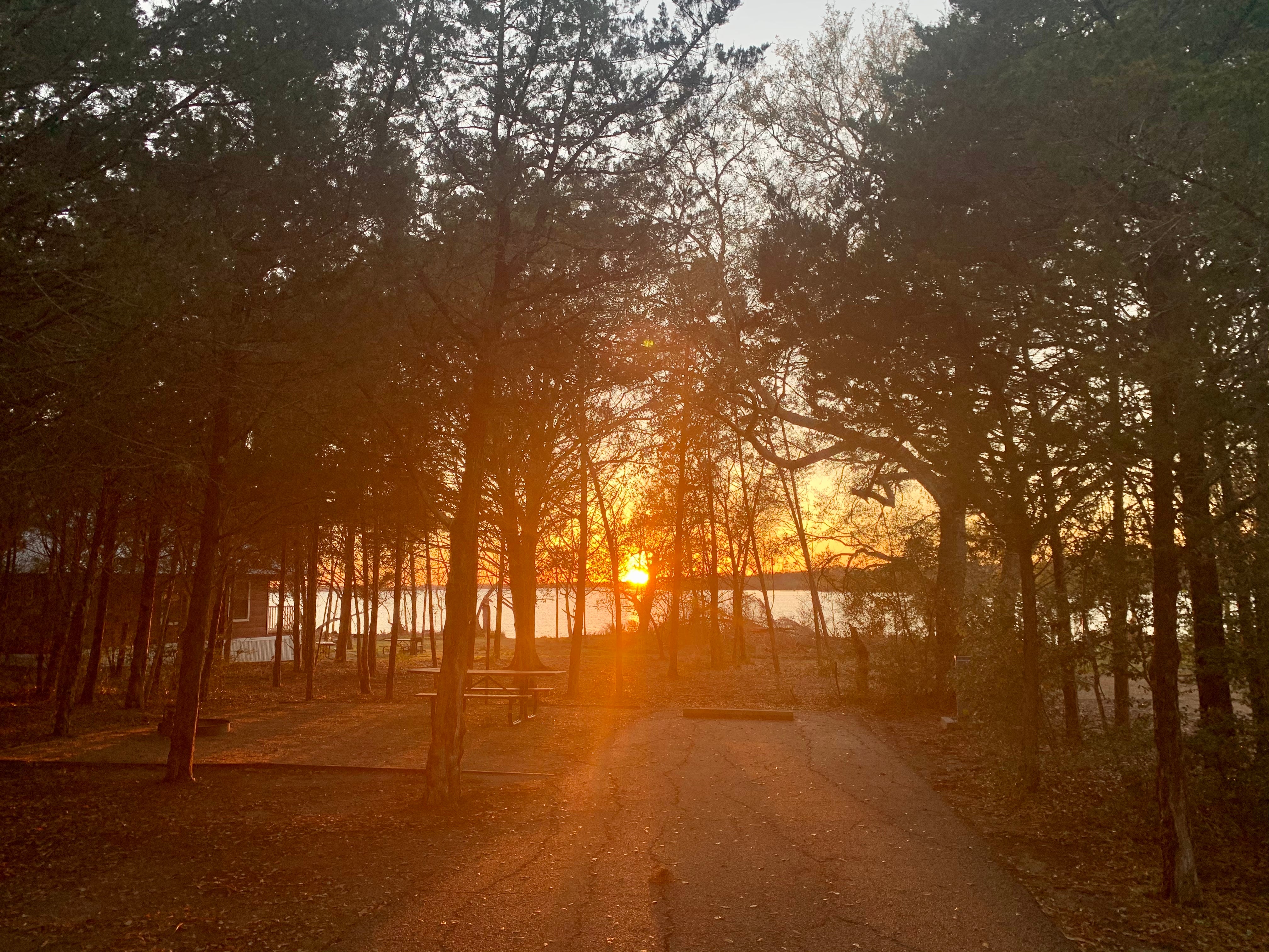 Camper submitted image from Oak Thicket Park - 2