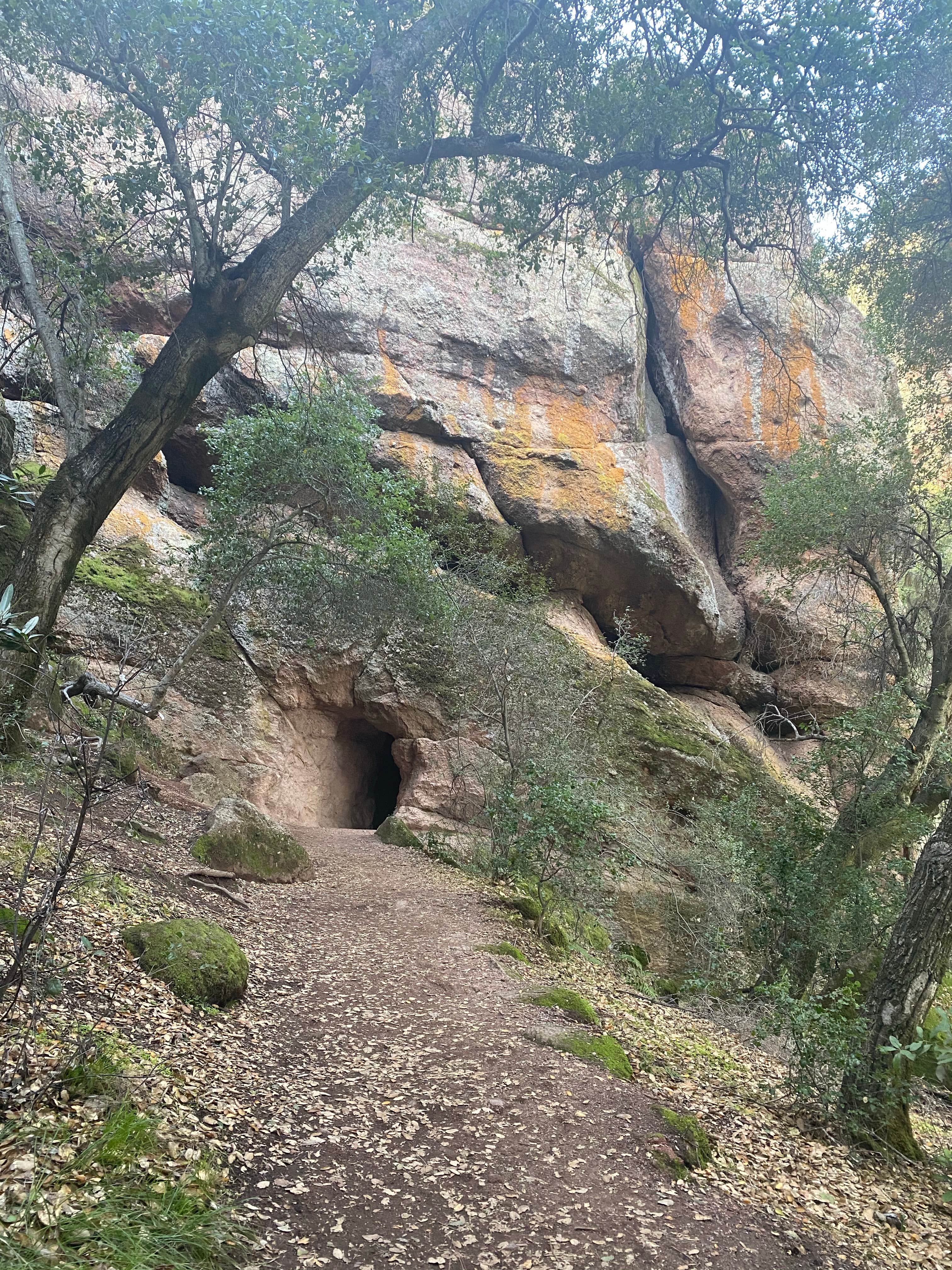 San Benito Rv Camping Resort The Dyrt