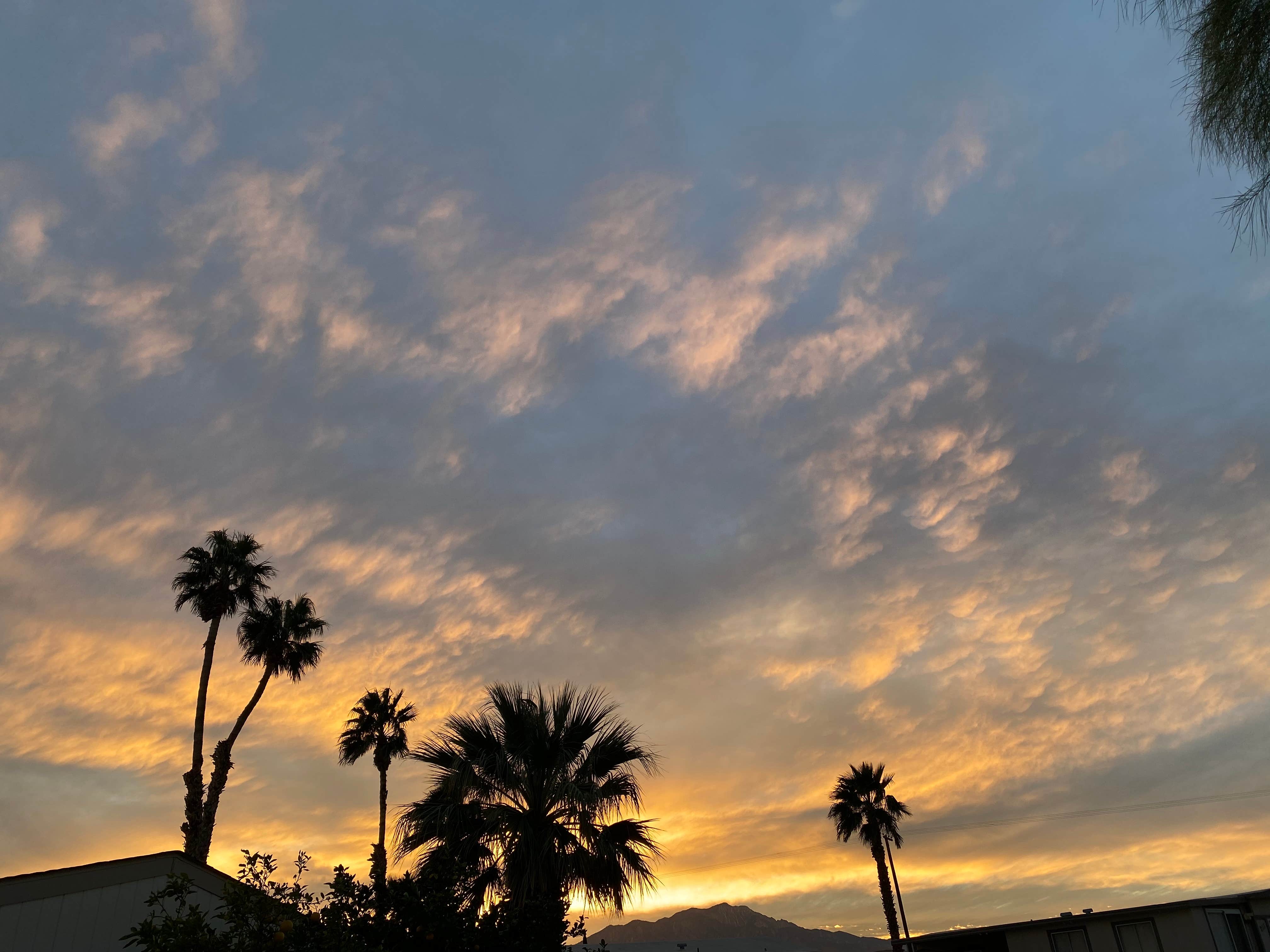 Camper-submitted photo at Sky Valley RV Resort near Palm Springs, CA