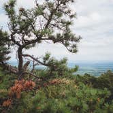 Review photo of High Point State Park Campground by Trip Over Life , May 28, 2018