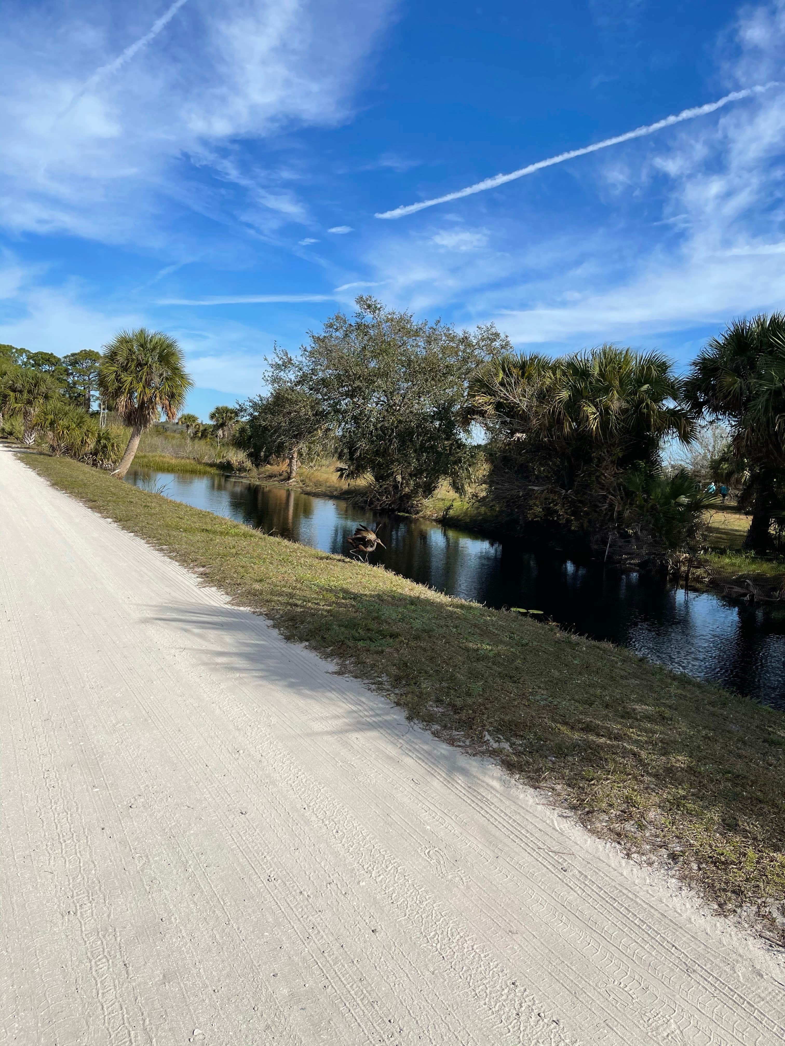 Camping near Nettles Island Resort: Savannas Recreational Park, Fort Pierce, Florida