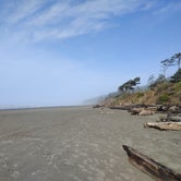 Review photo of Kalaloch Campground - group — Olympic National Park by Jr And Jade S., January 22, 2021
