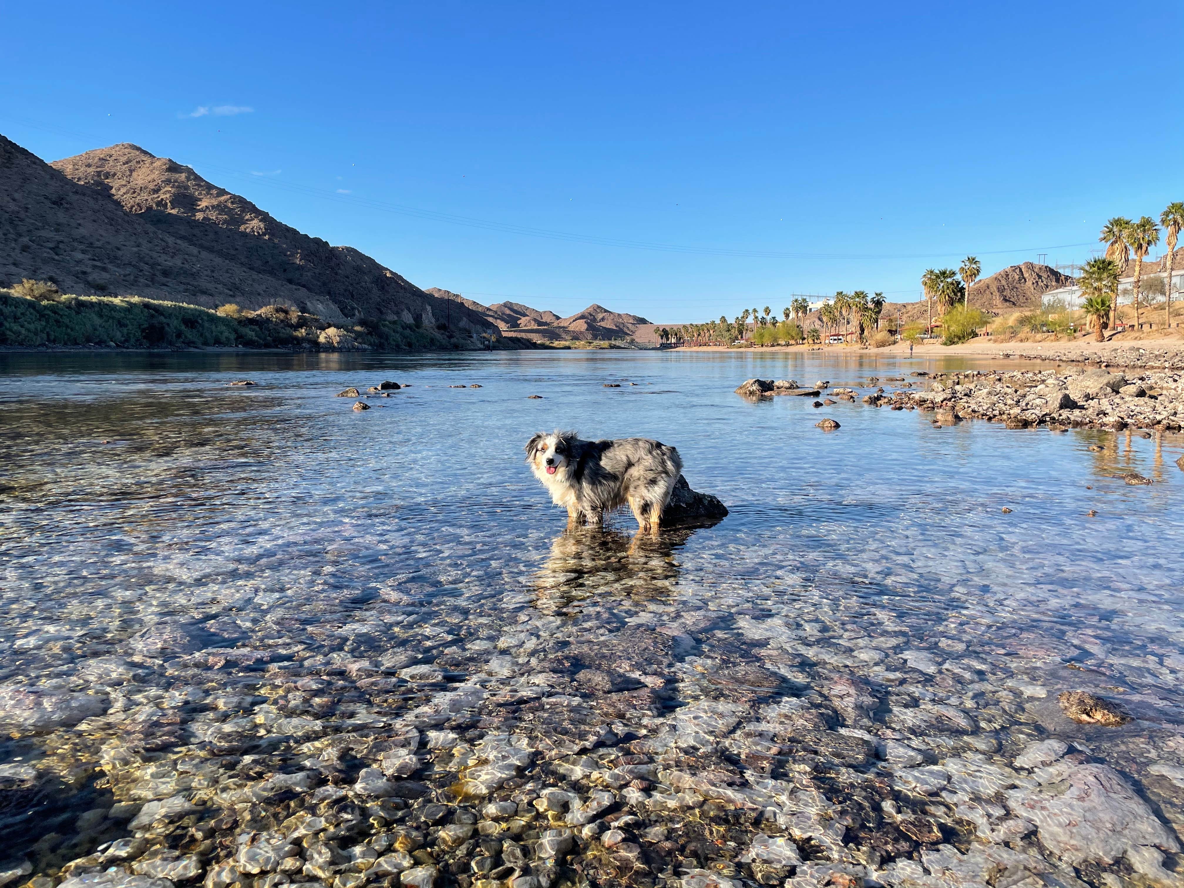 Camper-submitted photo at Davis Camp Park - Mohave County near Nipton, CA