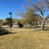 Review photo of Davis Camp Park - Mohave County by Jody S., January 22, 2021