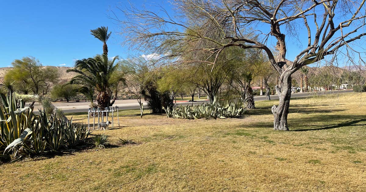 Davis Camp Park - Mohave County