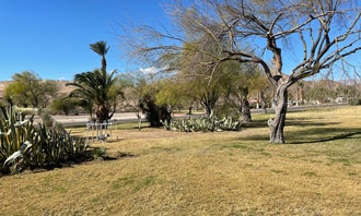 Camping near Tropicana Casino Laughlin : Davis Camp Park - Mohave County, Bullhead City, Arizona
