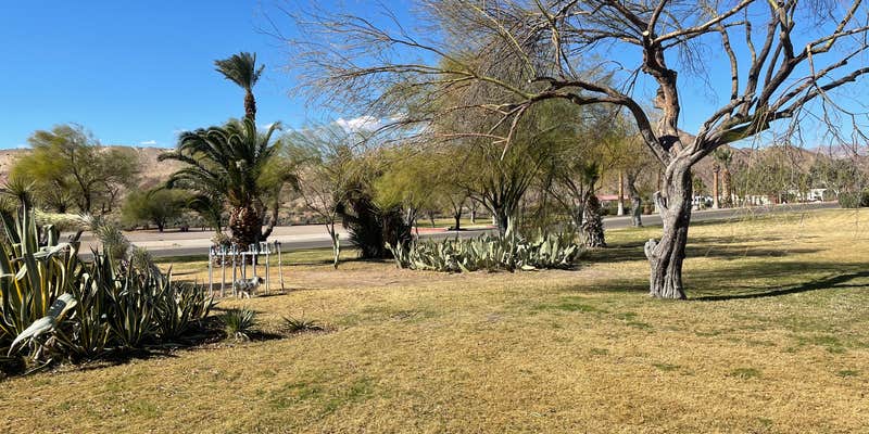 Camper submitted image from Davis Camp Park - Mohave County
