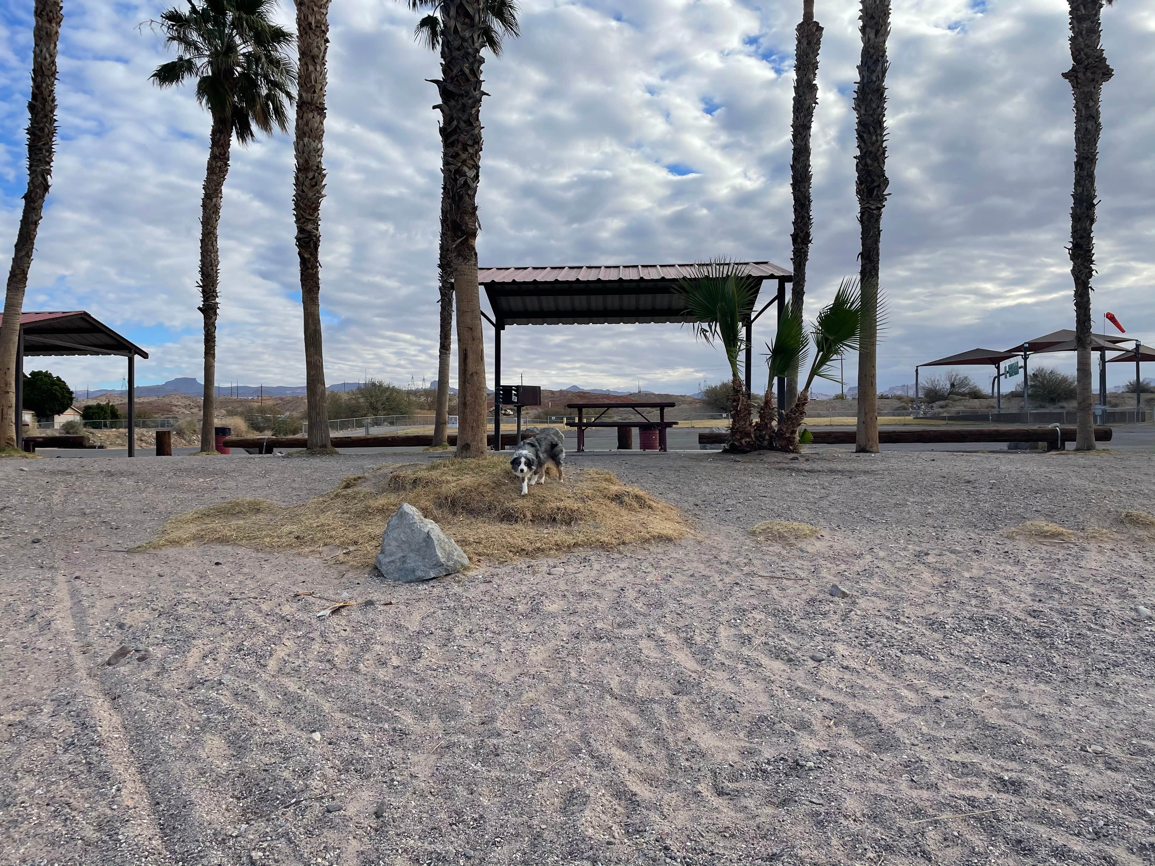 Camper-submitted photo at Davis Camp Park - Mohave County near Nipton, CA