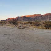 Review photo of Joshua Tree South - BLM Dispersed by Brett S., January 23, 2021