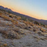 Review photo of Joshua Tree South - BLM Dispersed by Brett S., January 23, 2021