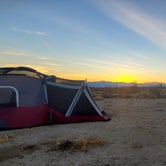 Review photo of Joshua Tree South - BLM Dispersed by Brett S., January 23, 2021