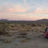 Review photo of Joshua Tree South - BLM Dispersed by Brett S., January 23, 2021