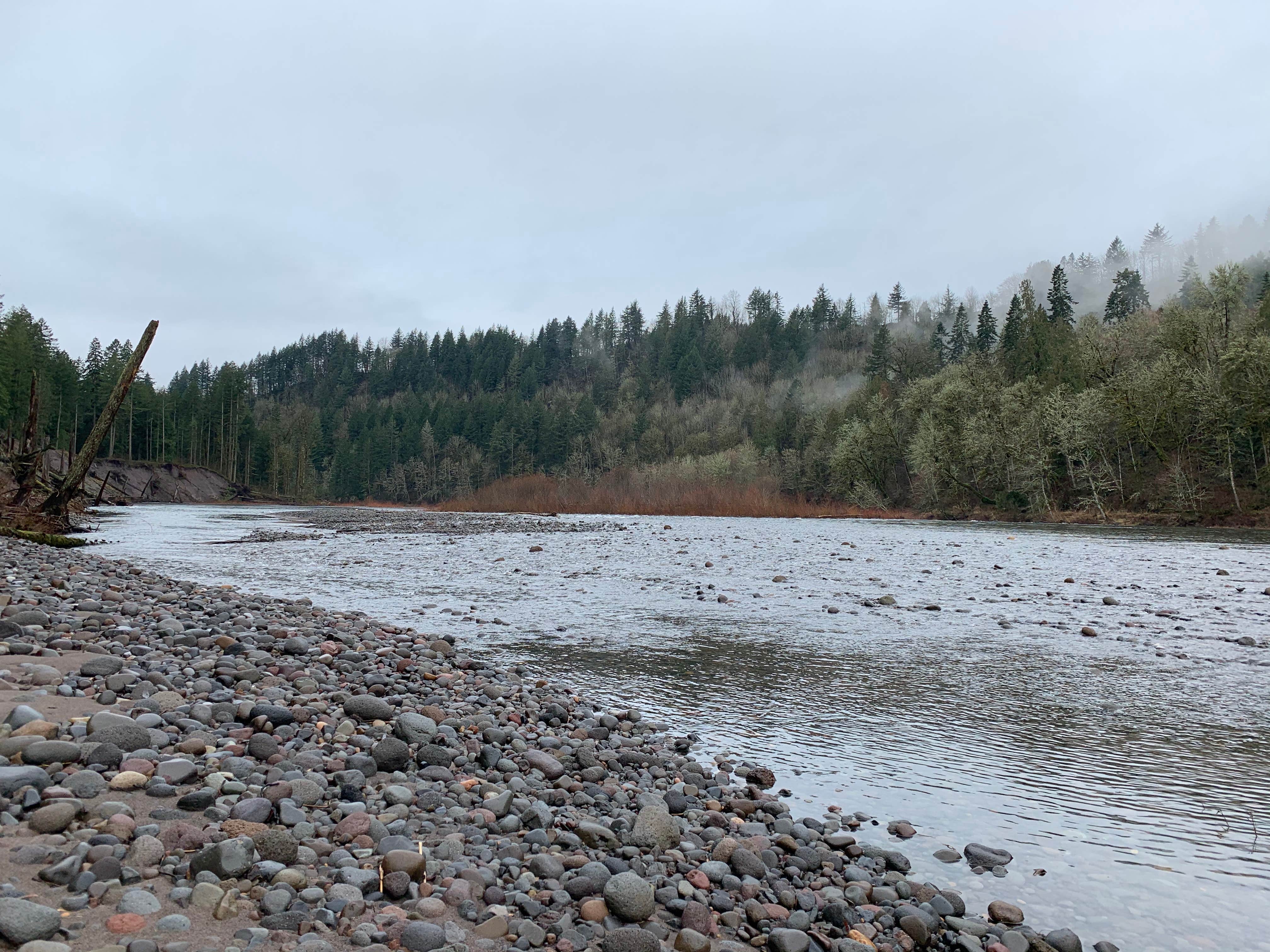 Camper-submitted photo at Oxbow Regional Park near Hillsboro, OR
