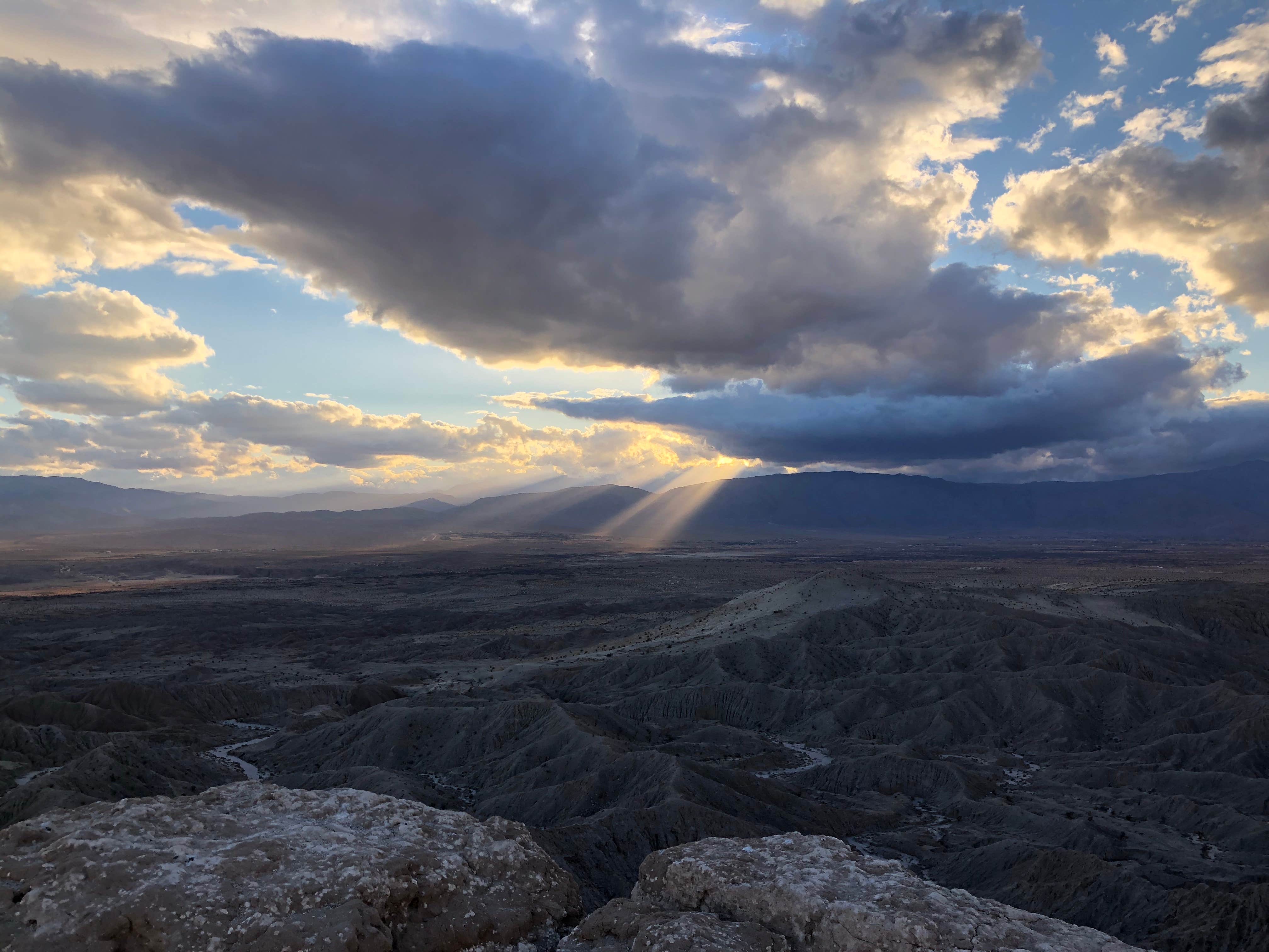 Camper submitted image from The Springs at Borrego RV Resort and Golf Course - 2