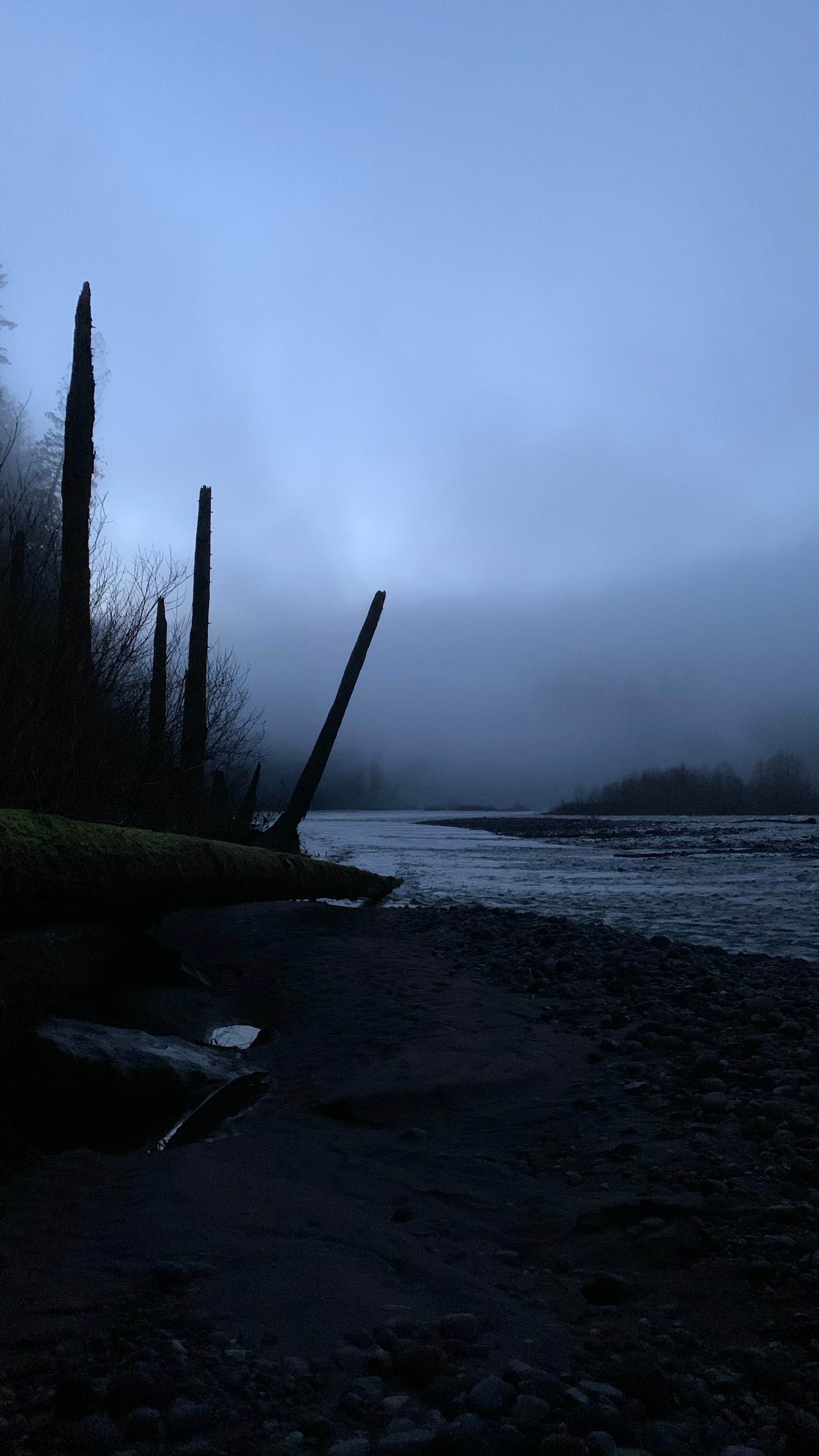 Camper-submitted photo at Oxbow Regional Park near Battle Ground, WA