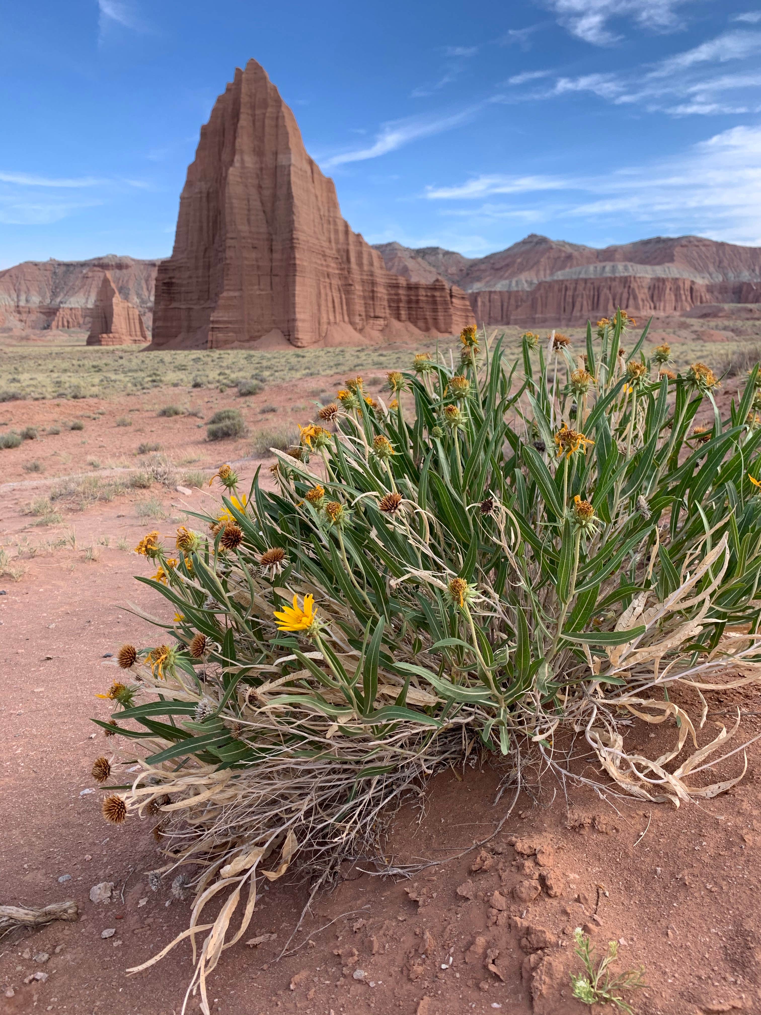 Cathedral Valley Campground Capitol Reef National Park Camping