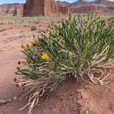 Review photo of Cathedral Valley Campground — Capitol Reef National Park by Angela G., January 23, 2021