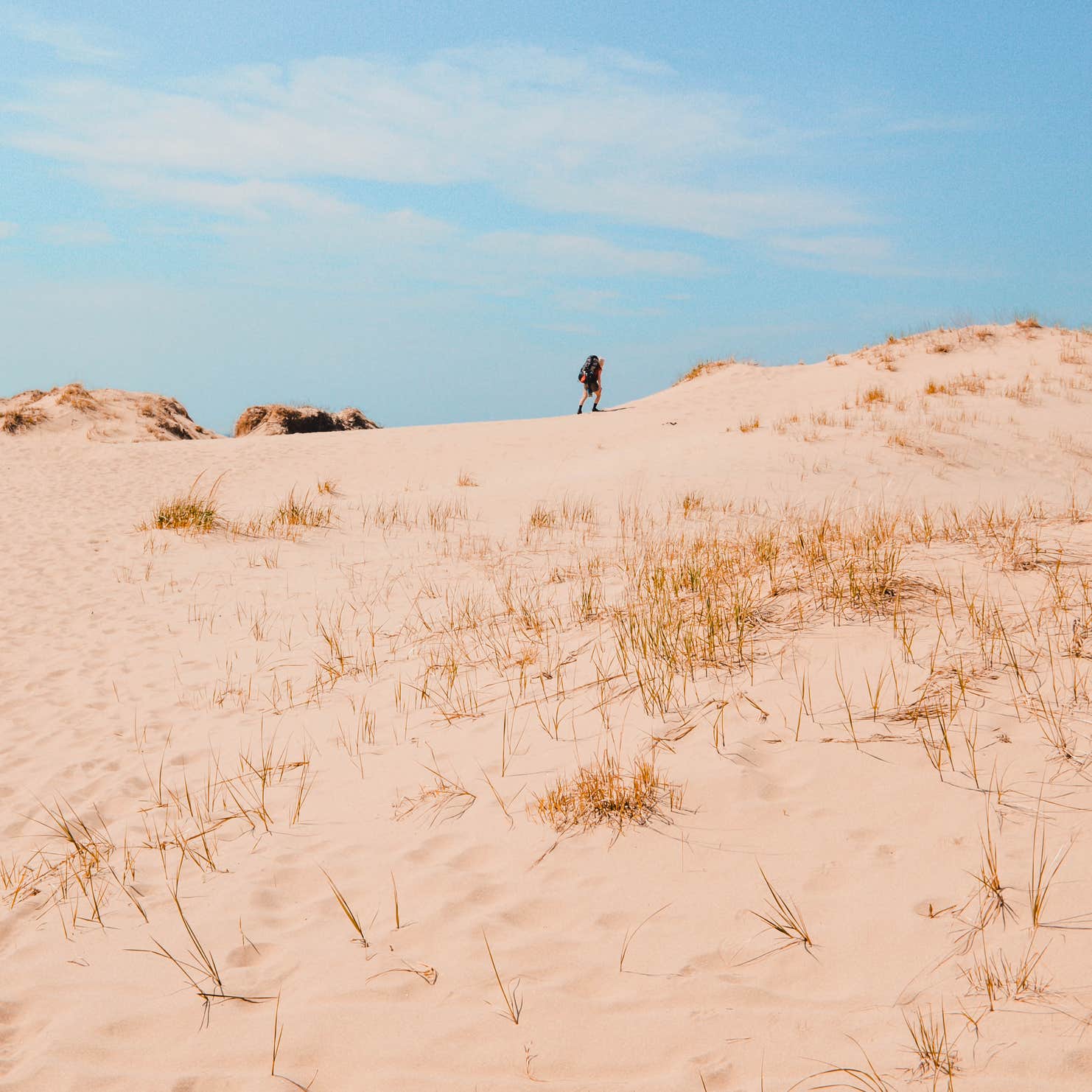 Nordhouse Dunes Wilderness Camping | Hamlin, MI | The Dyrt