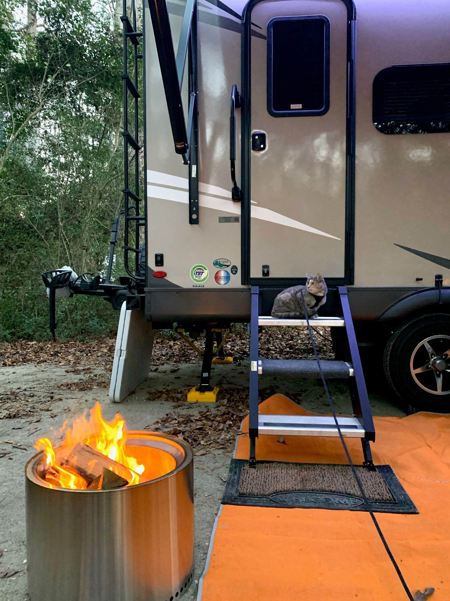 Britt B.'s photo of camping with pets at Myrtle Beach State Park Campground near Conway, SC